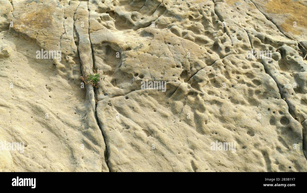 Calcaire érodé sur la côte de la mer Banque D'Images