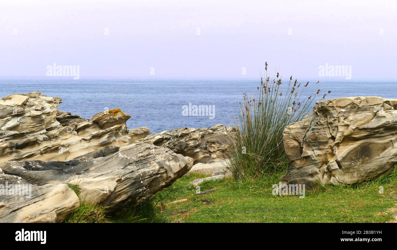 Montez avec de l'herbe et du calcaire sur la côte de la mer Banque D'Images