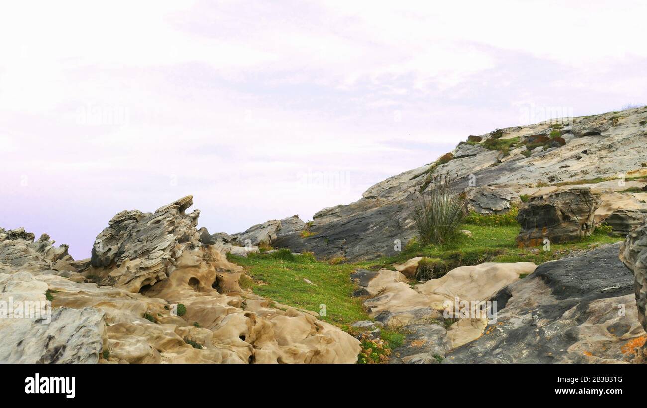 Montez avec de l'herbe et du calcaire sur la côte de la mer Banque D'Images