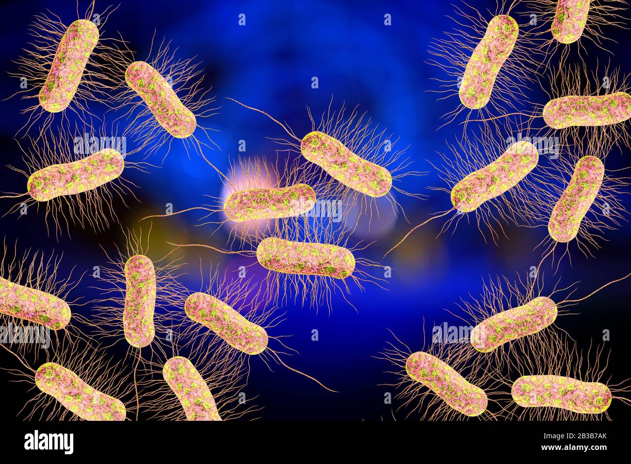 Escherichia coli, également connu sous le nom de bactéries E. coli dans les sciences de la santé contexte 3D illustration Banque D'Images