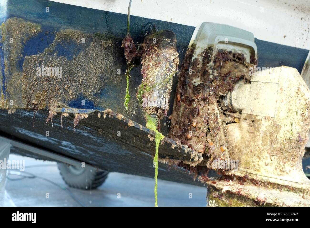 Boatyard ouvrier de la pression laver un bateau de moteur pour éliminer l'encrassement marin Banque D'Images