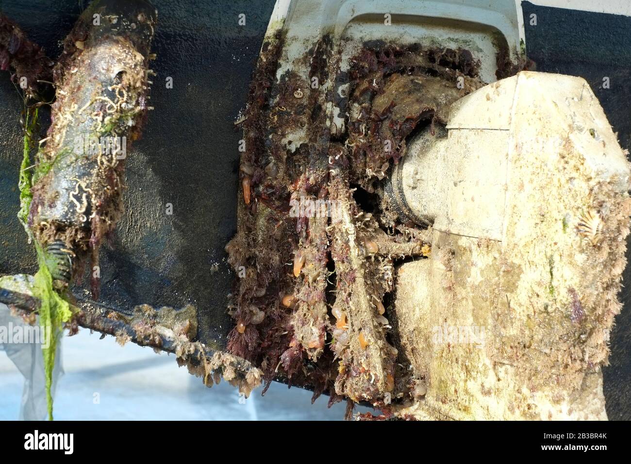 Boatyard ouvrier de la pression laver un bateau de moteur pour éliminer l'encrassement marin Banque D'Images