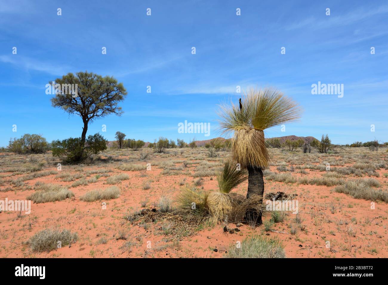 Dans le sol aride de la chaîne West McDonnell Ranges, territoire du Nord, territoire du Nord, Australie Banque D'Images