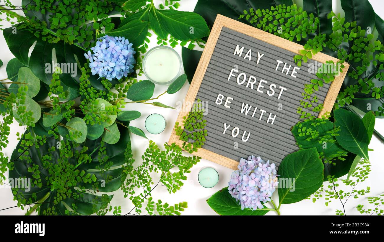 Pro environnement lettre concept avec mai la forêt être Avec Vous message. Disposition de composition créative à plat. Banque D'Images
