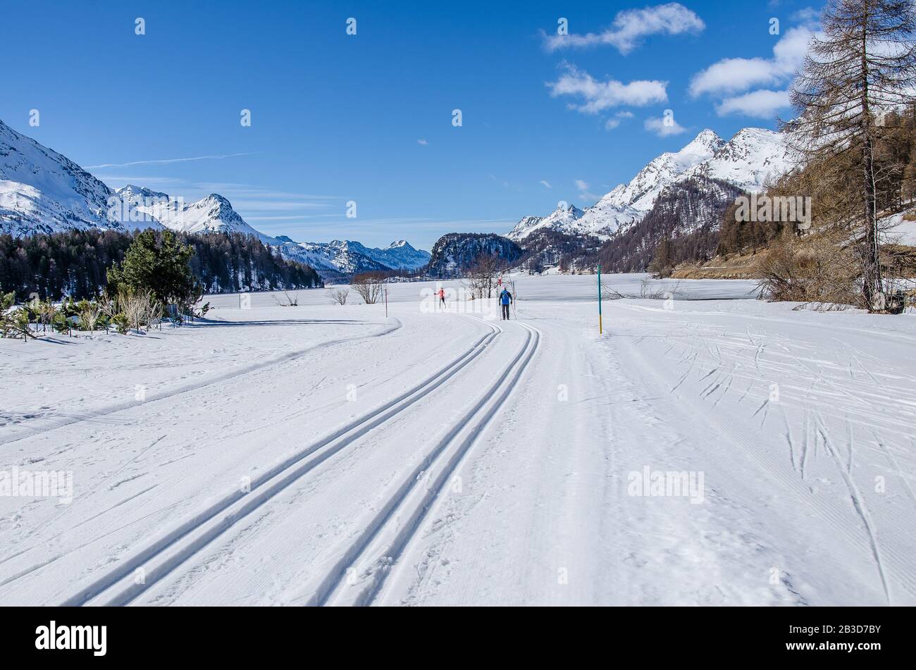 Que ce soit parmi 13 000 concurrents au Marathon de ski d’Engadin ou sur les collines du Jura, les pistes de ski de fond d’Engadin répondent à tous les goûts. Banque D'Images