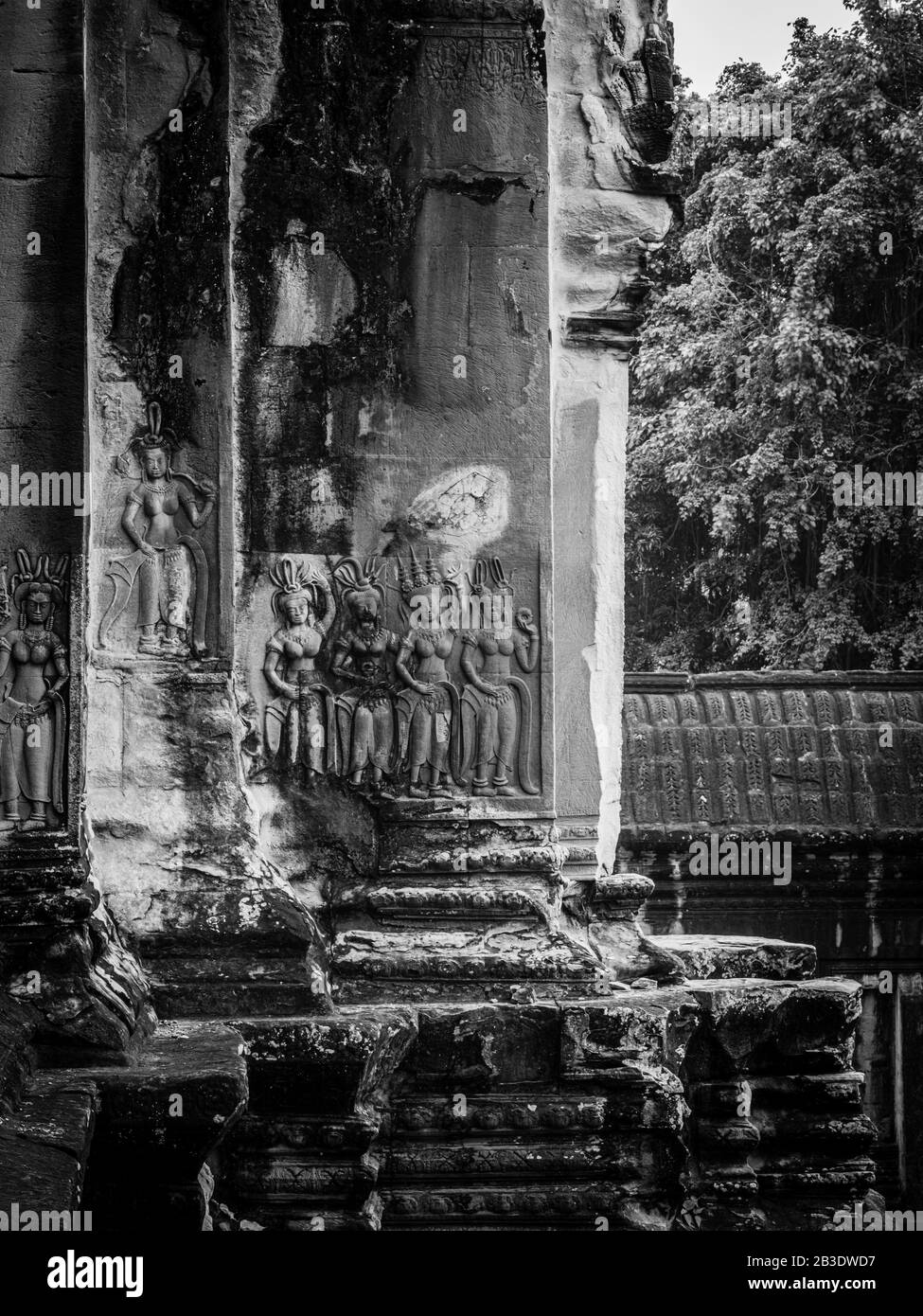 Image Du Temple D'Angkor Wat ; Parc Archéologique D'Angkor Wat, Siem Reap, Cambodge. Banque D'Images