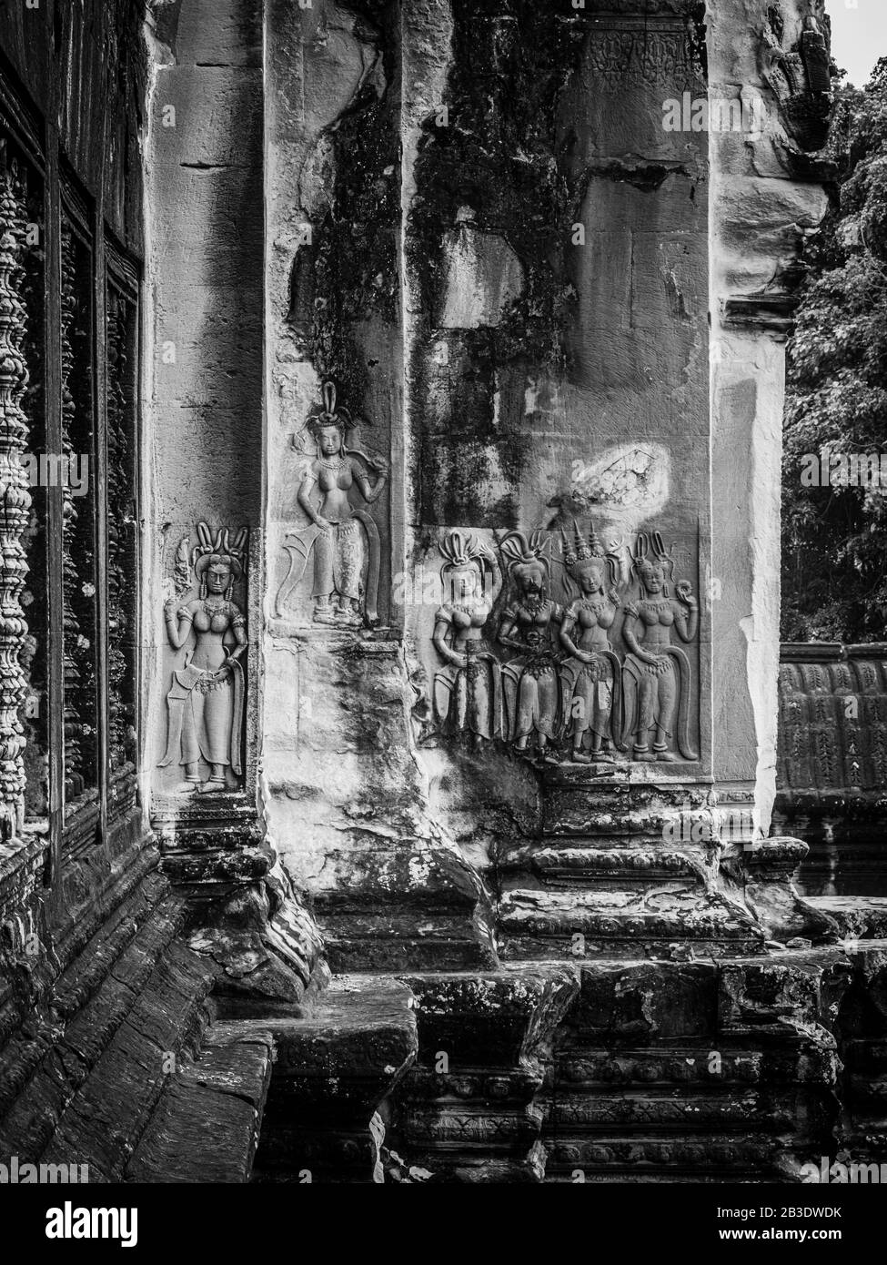 Image Du Temple D'Angkor Wat ; Parc Archéologique D'Angkor Wat, Siem Reap, Cambodge. Banque D'Images
