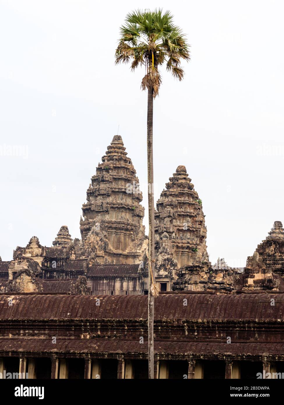 Image Du Temple D'Angkor Wat ; Parc Archéologique D'Angkor Wat, Siem Reap, Cambodge. Banque D'Images Image Du Temple D'Angkor Wat ; Parc Archéologique D'Angkor Wat, Siem Reap, Cambodge. Banque D'Images