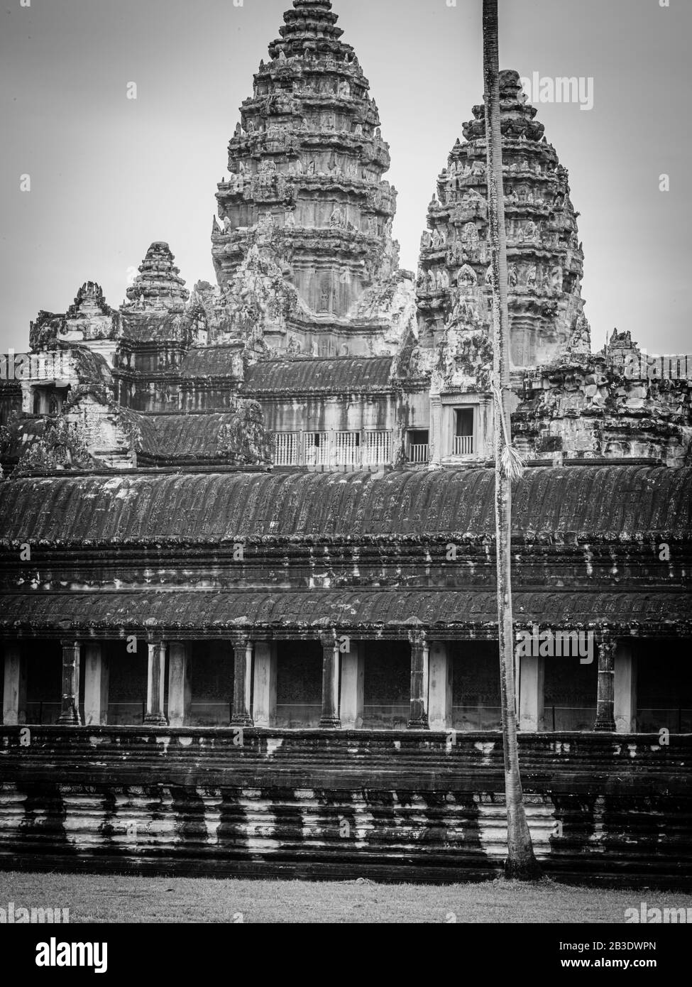 Image Du Temple D'Angkor Wat ; Parc Archéologique D'Angkor Wat, Siem Reap, Cambodge. Banque D'Images