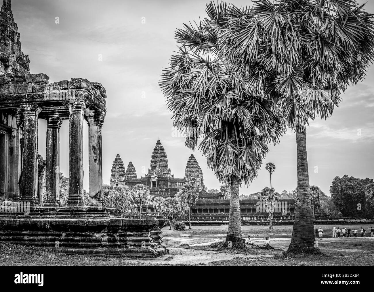 Image Du Temple D'Angkor Wat ; Parc Archéologique D'Angkor Wat, Siem Reap, Cambodge. Banque D'Images