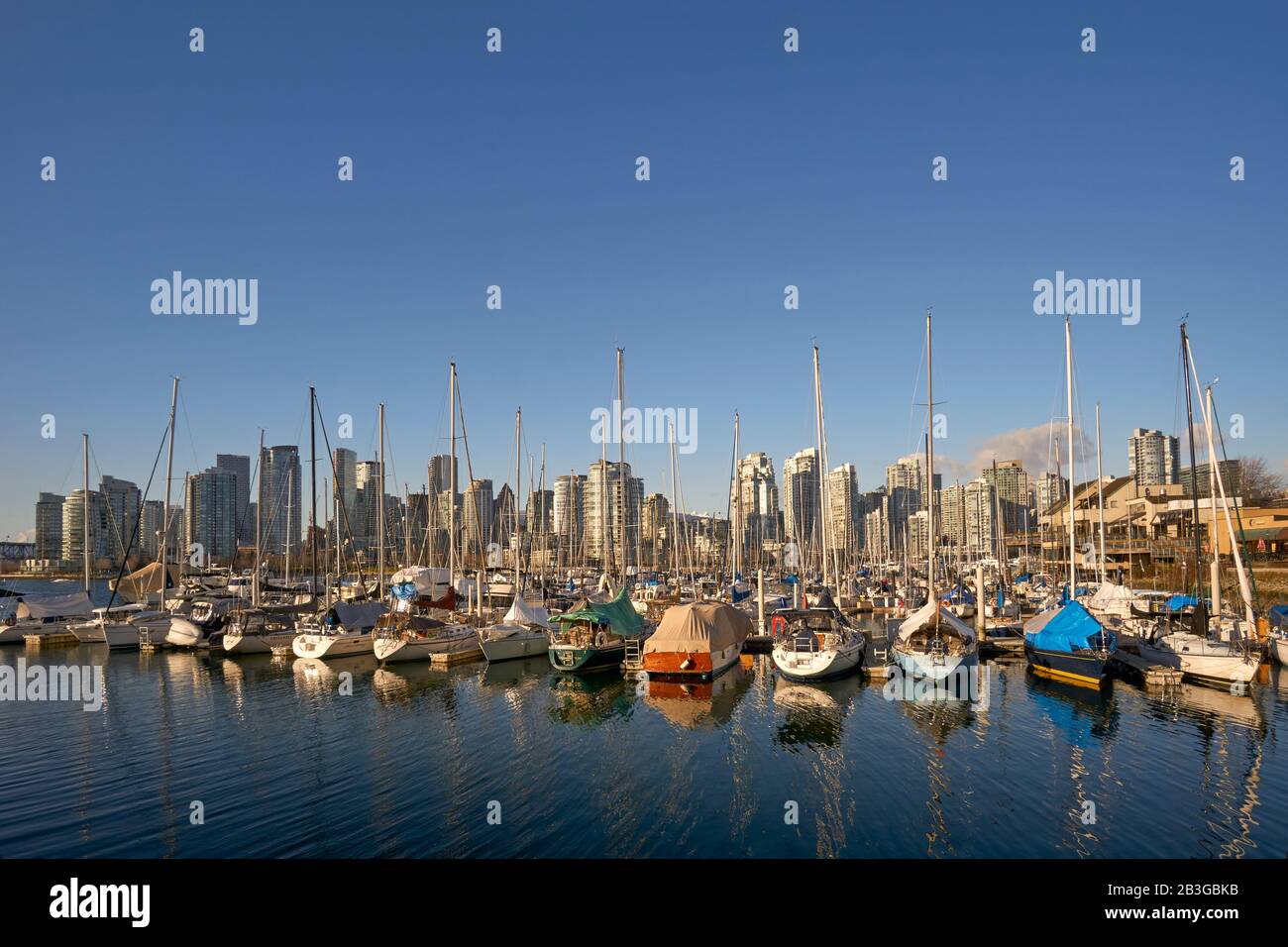 Voiliers amarrés en hiver à une marina du côté sud de False Creek avec vue sur l'horizon à l'arrière, Vancouver, C.-B., Canada Banque D'Images