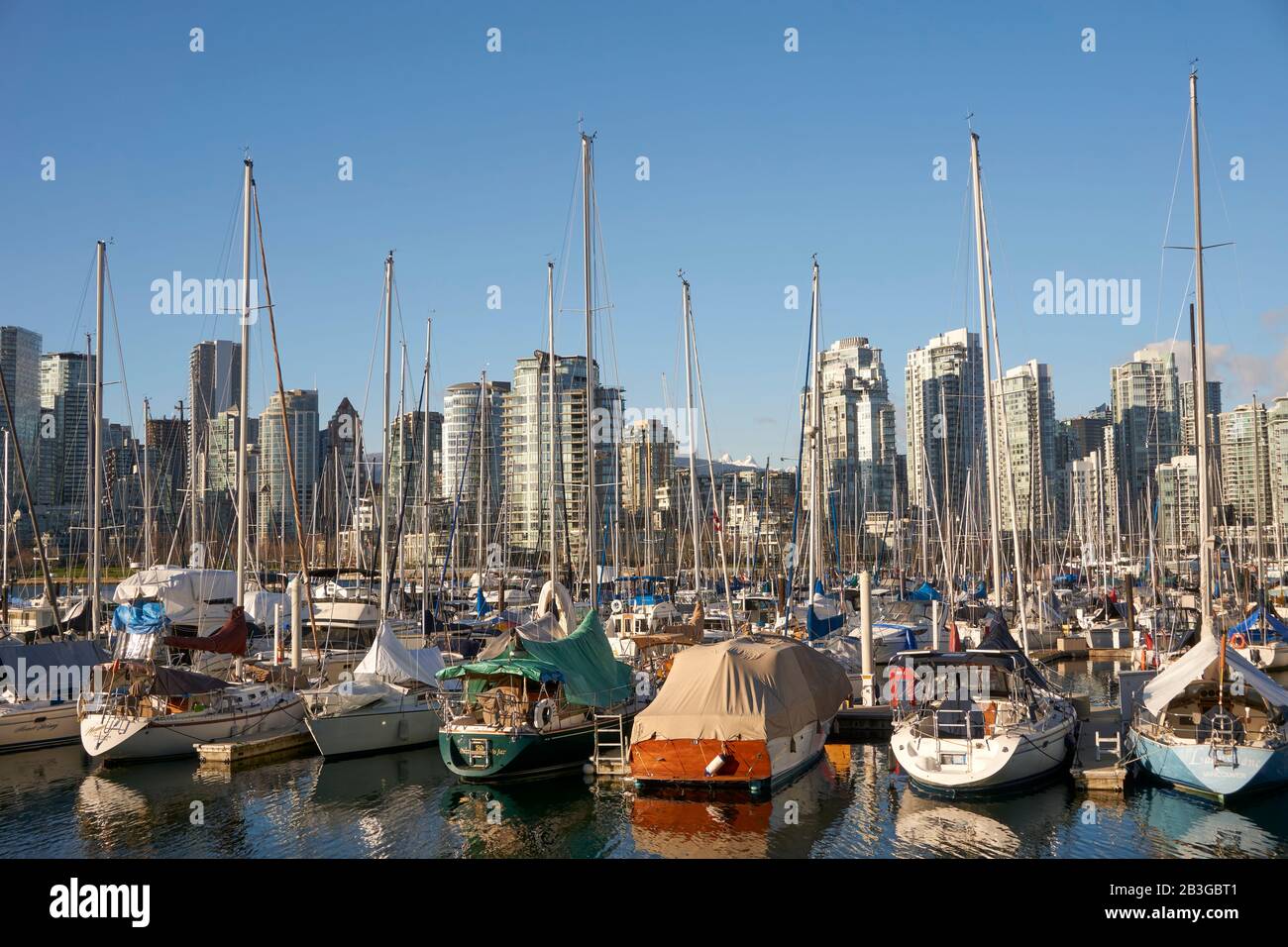 Voiliers amarrés en hiver à une marina du côté sud de False Creek avec vue sur l'horizon à l'arrière, Vancouver, C.-B., Canada Banque D'Images