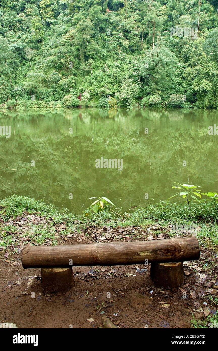 Vue sur un lac et un banc en bois à côté d'une forêt à Puncak, Java Ouest, Indonésie. Banque D'Images