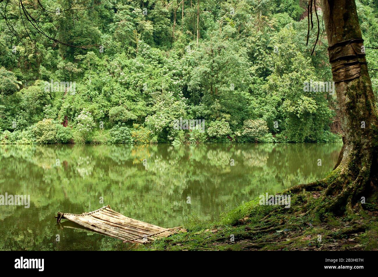 Vue sur un lac calme et un canoë à bâtons de bambou à côté d'une forêt à Puncak, Java Ouest, Indonésie. Banque D'Images