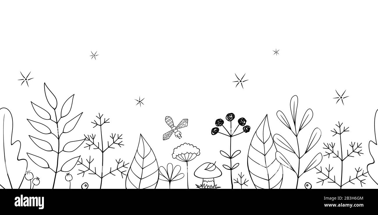 Bordure Fleurie Sans Couture Vectorisée À La Main De Feuilles, De Plantes Et De Fleurs Avec Un Champignon Et Une Abeille. Motif naturel horizontal Transparent noir et blanc Illustration de Vecteur