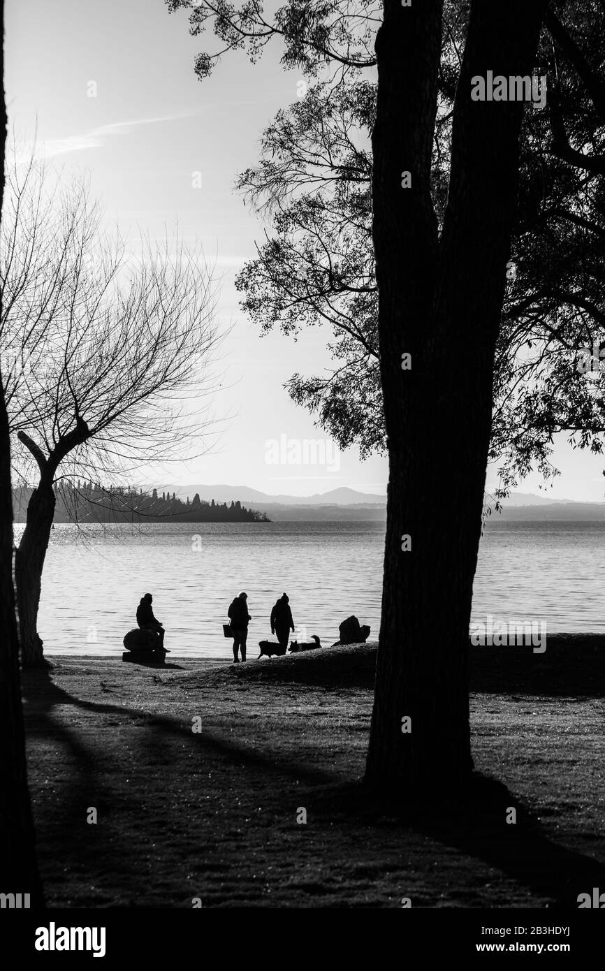 Les gens silhouettes sur un rivage de lac avec deux chiens et des arbres Banque D'Images