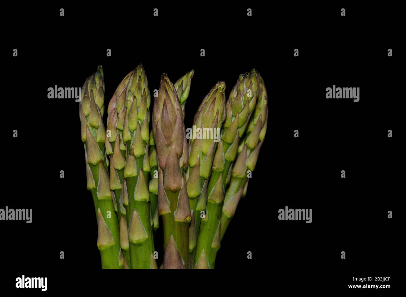 Pointes d’asperges Banque D'Images