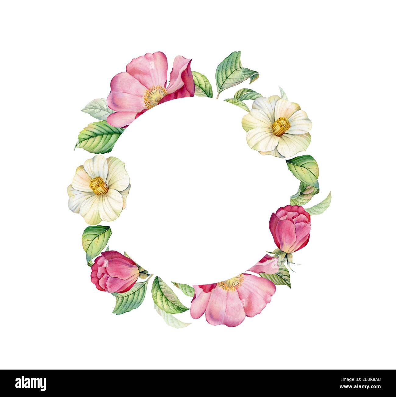 Bannière aquarelle avec cadre rond et hanche rose. Camélia réaliste et fleurs mariées. Placer pour le texte. Illustration florale botanique pour mariage Banque D'Images