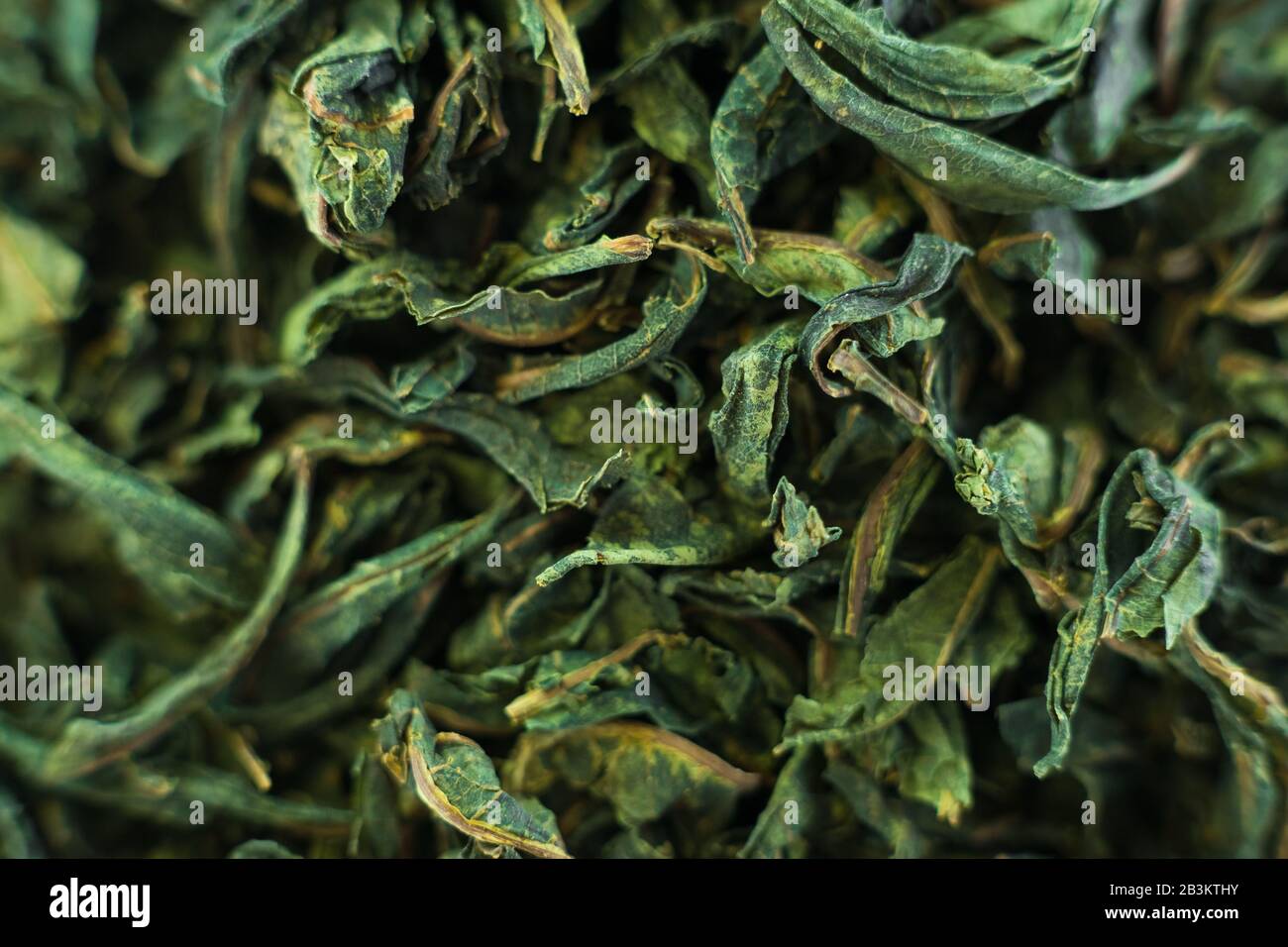 Gros plan - collection de feuilles de thé vert séché .vue du dessus. Photo macro. Banque D'Images