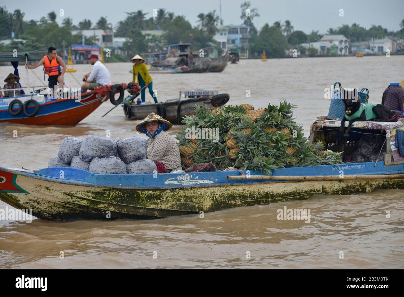 Schwimmender Markt 'Cai Rang', Song Can Tho, Can Tho, Vietnam Banque D'Images