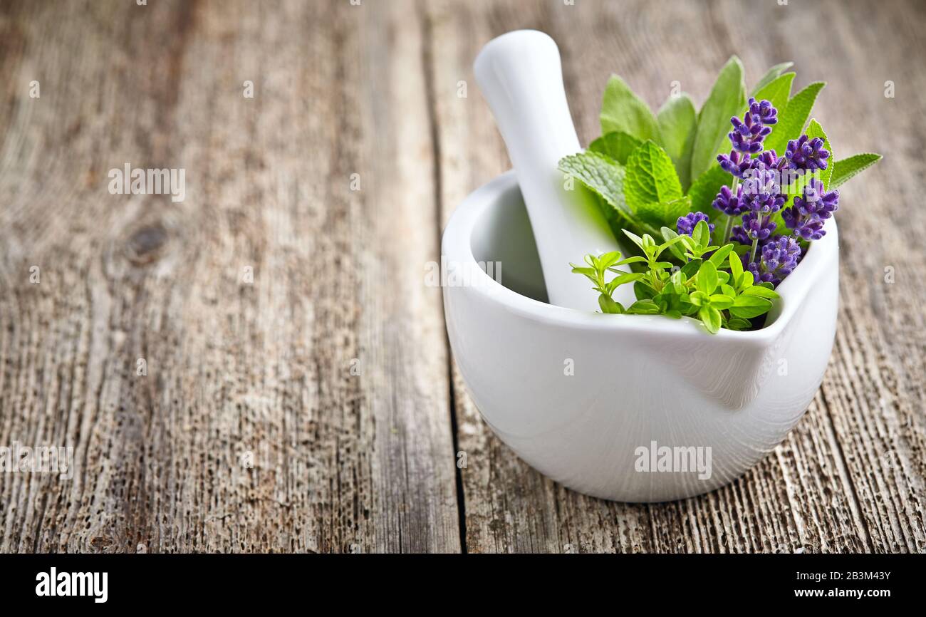 Médicaments herbes fraîches avec mortier blanc Banque D'Images