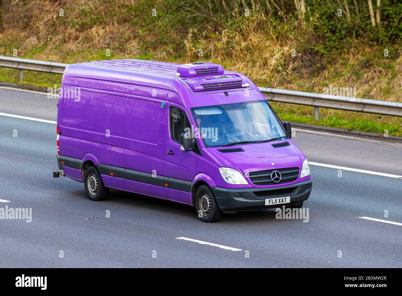 sprinter 313