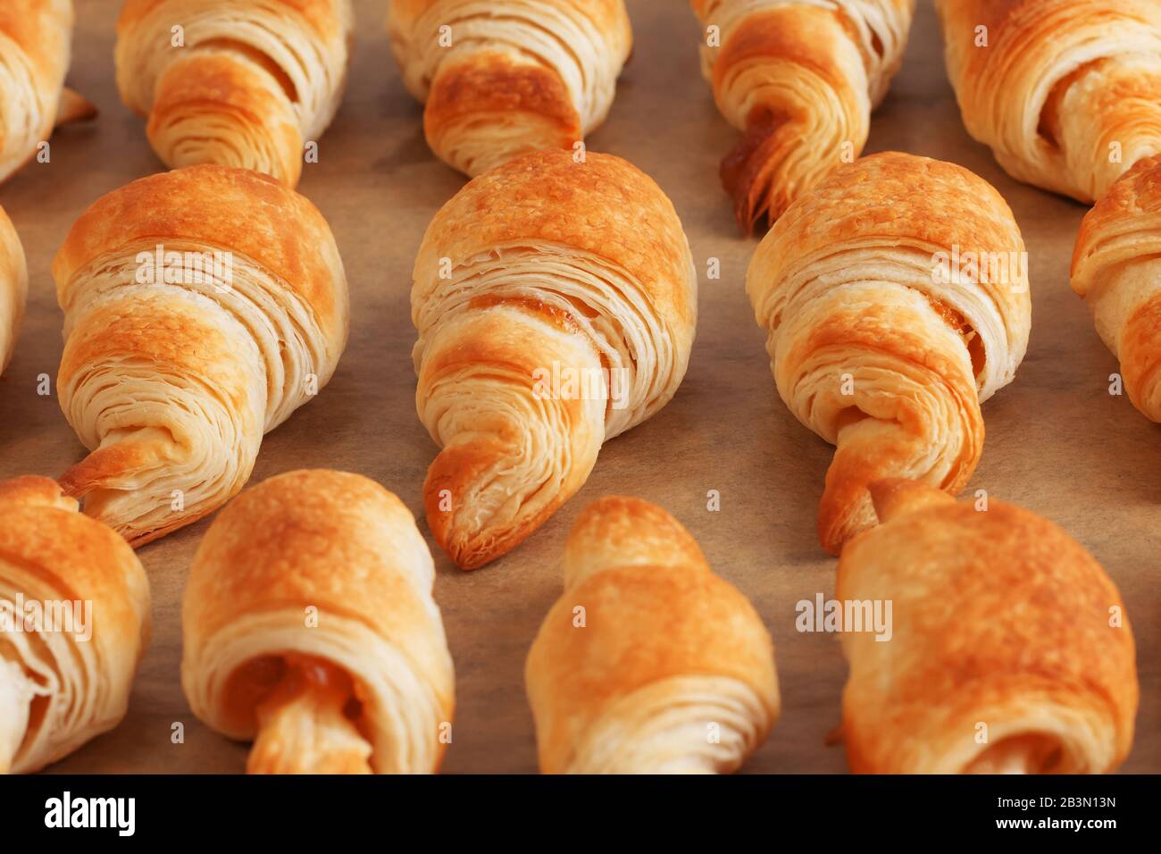 Vue latérale de trois rangées de croissants dorés fraîchement cuits faits de pâte feuilletée avec peu de profondeur de champ avec confiture sur papier de cuisson marron Banque D'Images