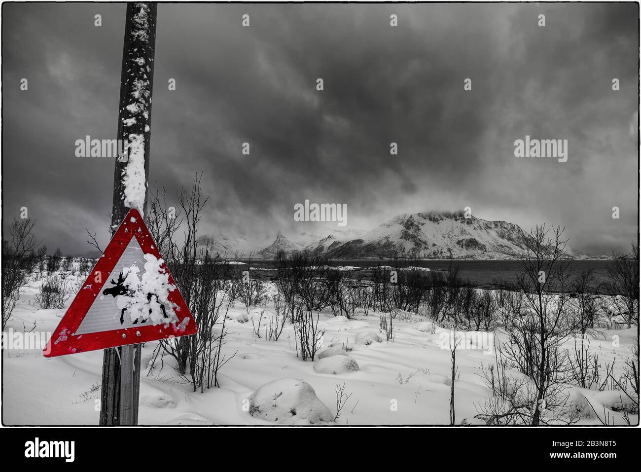 Panneau de passage d'orignal recouvert de neige partielle en Norvège Banque D'Images