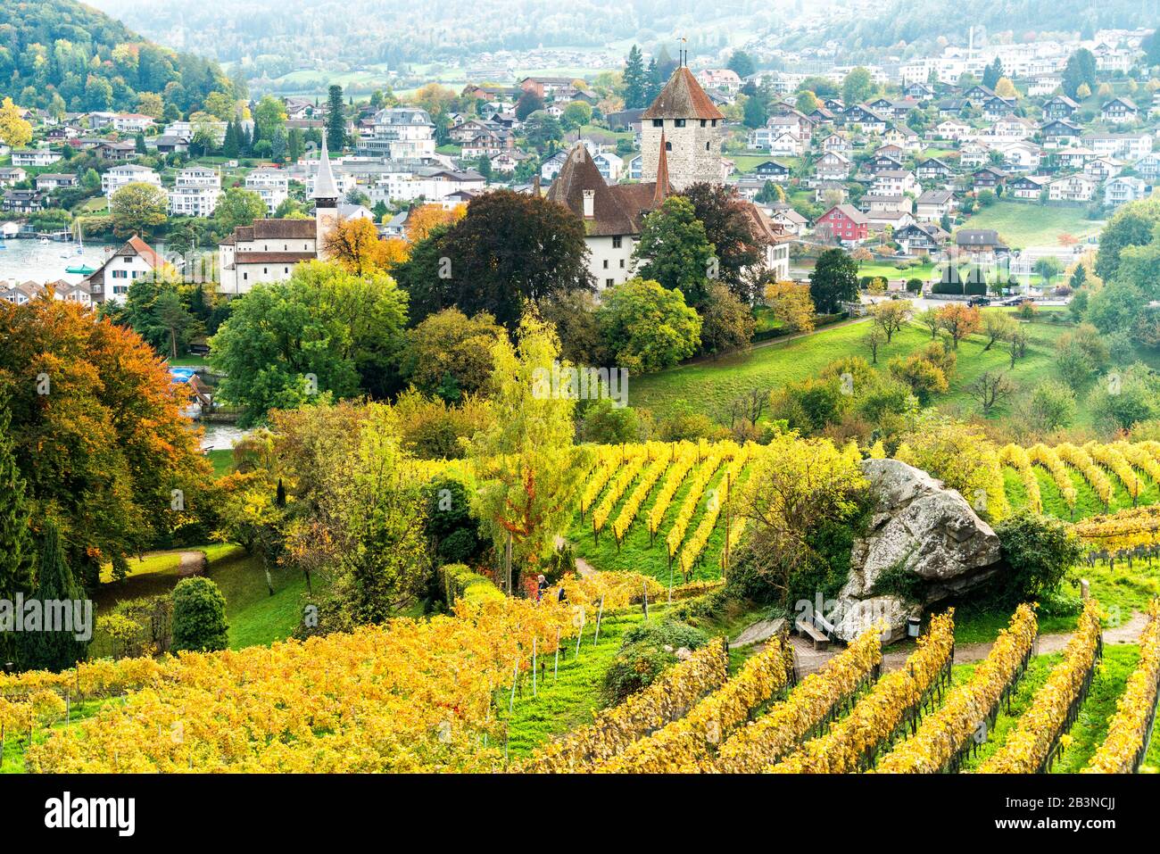 Château de Spiez entouré de vignes en automne, Lac Thun, canton de Berne, Suisse, Europe Banque D'Images