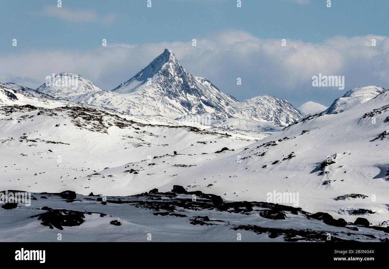 Les montagnes de Sognefjell, au-dessus de Skjolden, Norvège, Scandinavie, Europe Banque D'Images