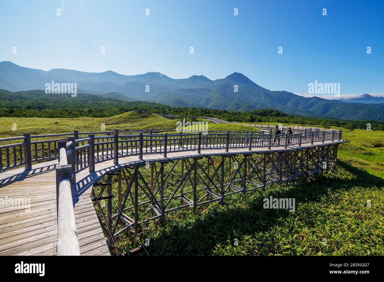Passerelle À Goko Five Lakes, Parc National Shiretoko, Hokkaido, Japon, Asie Banque D'Images