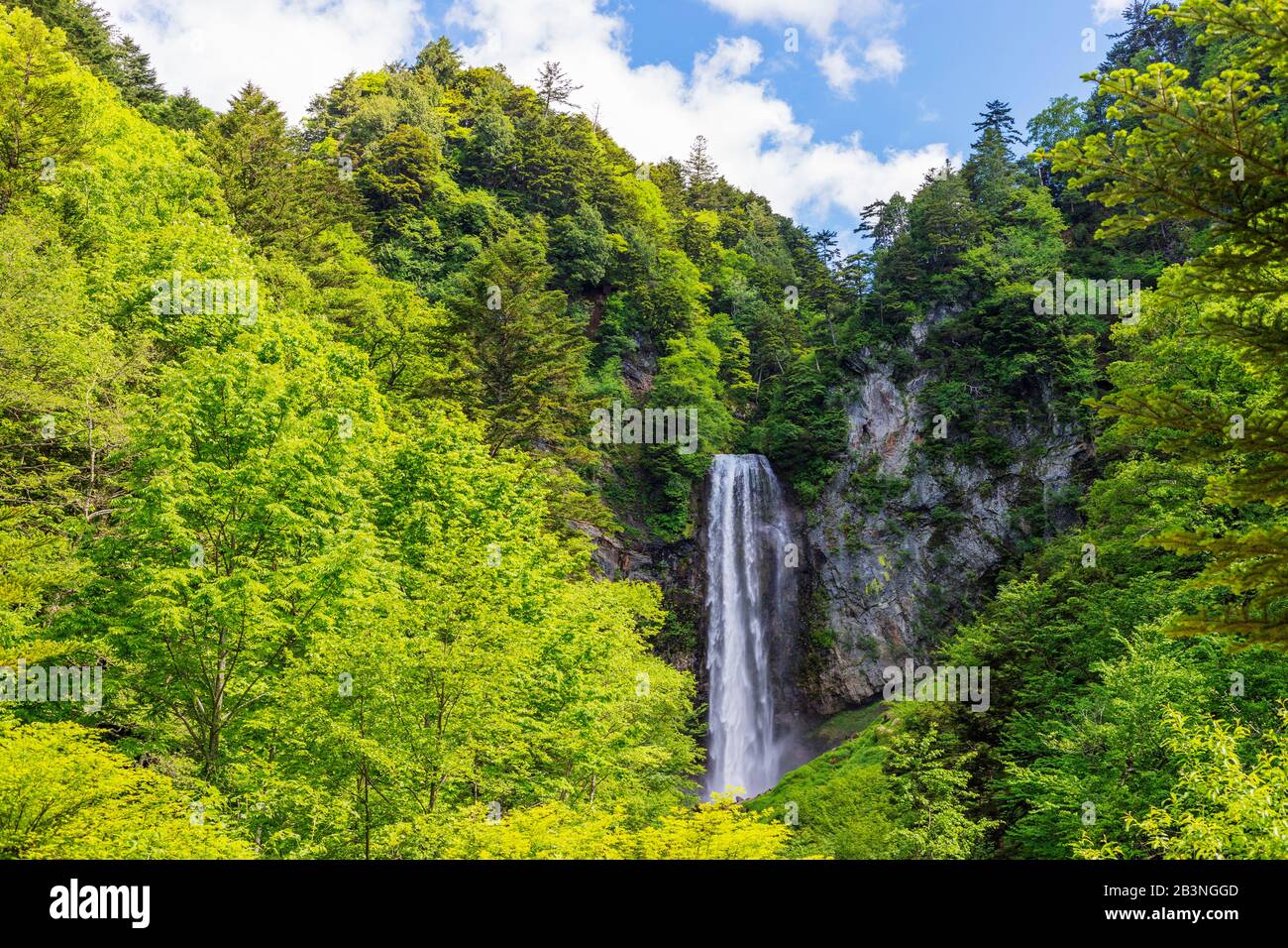 Hirayu Falls, Préfecture De Gifu, Honshu, Japon, Asie Banque D'Images