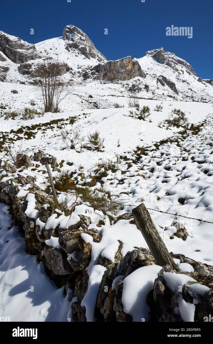 Clôture en pierre dans un champ enneigé de PR.AS-15 sentier de randonnée avec montagnes enneigées en arrière-plan (Valle del Lago, Soriedo Natural Park, Asturies, Espagne) Banque D'Images