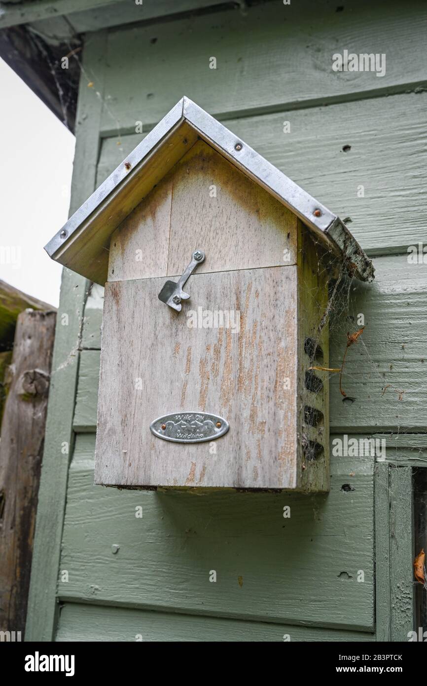 Maison d'insectes avec sa porte fermée montée sur le côté d'un hangar dans un jardin anglais. Banque D'Images