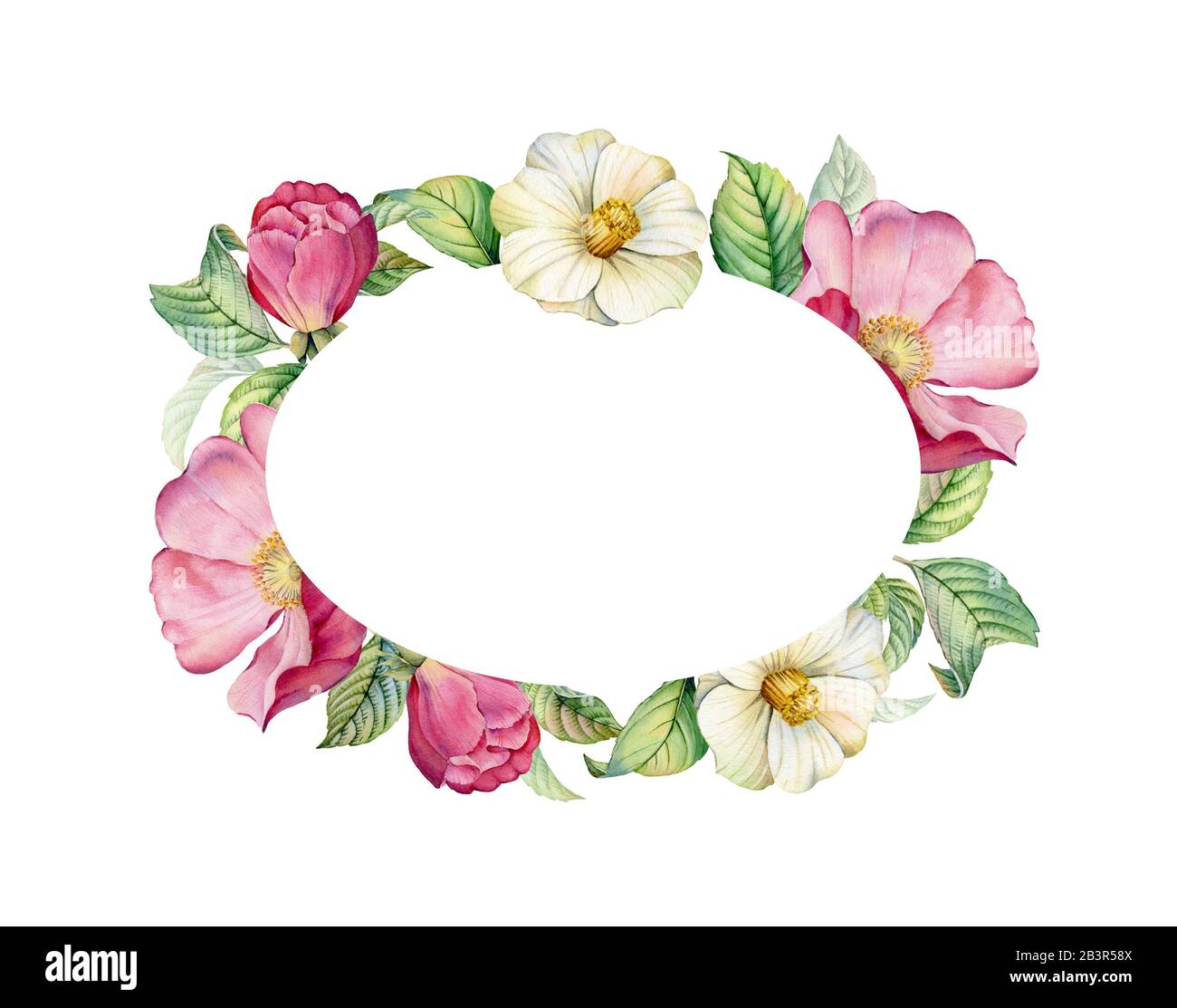 Cadre fleuri aquarelle avec camellia et hanche rose. Bannière ovale et place pour le texte. Des feuilles réalistes et des fleurs mariées. Illustration botanique pour Banque D'Images