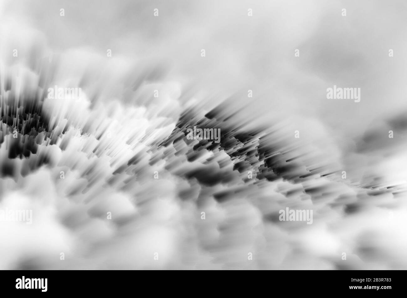 Arrière-plan flou noir et blanc abstrait. Banque D'Images