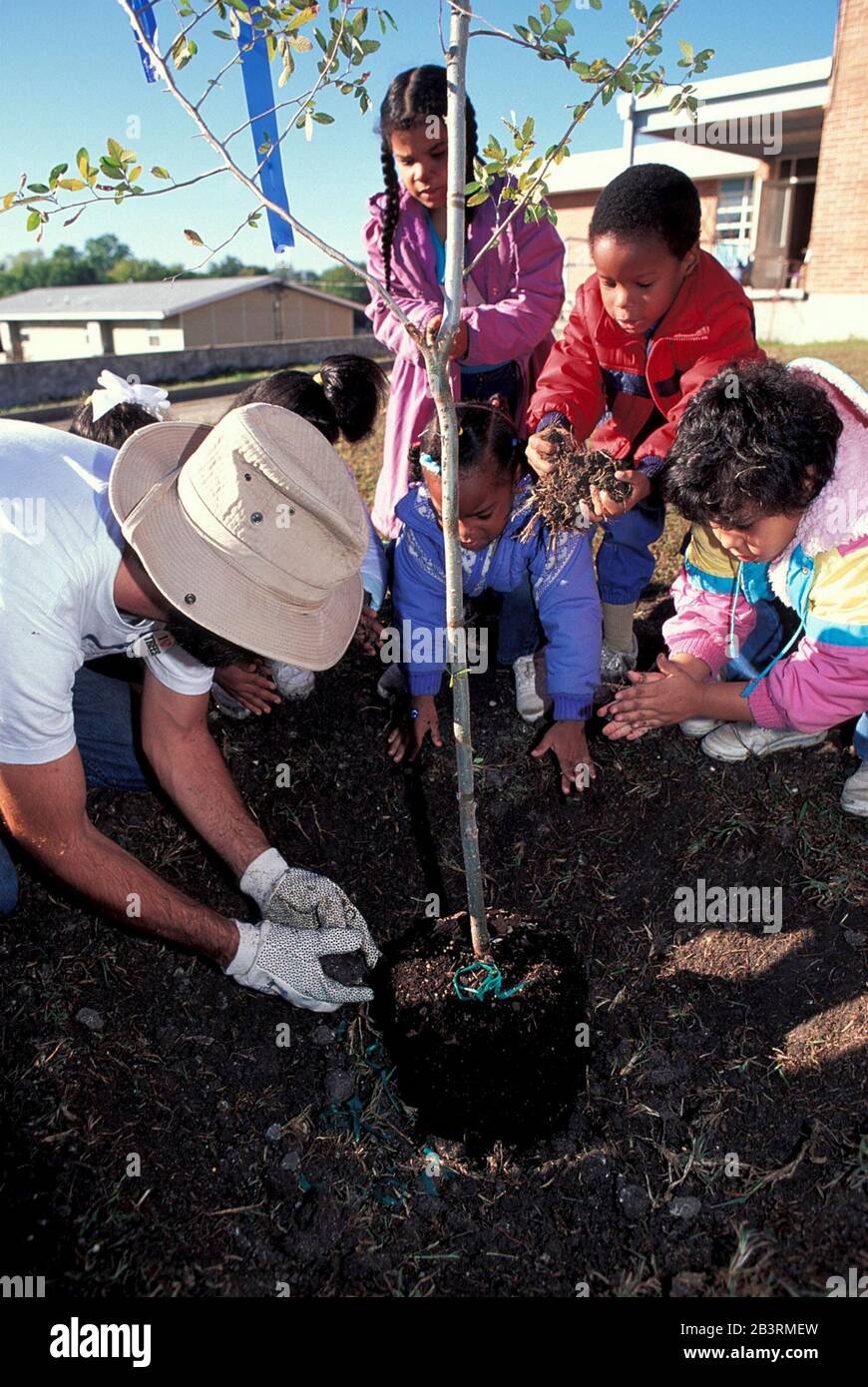 Austin, Texas USA: Élèves de première et de deuxième année qui aident à planter de petits arbres sur les terrains scolaires de Blanton Elementary.©Bob Daemmrich Banque D'Images