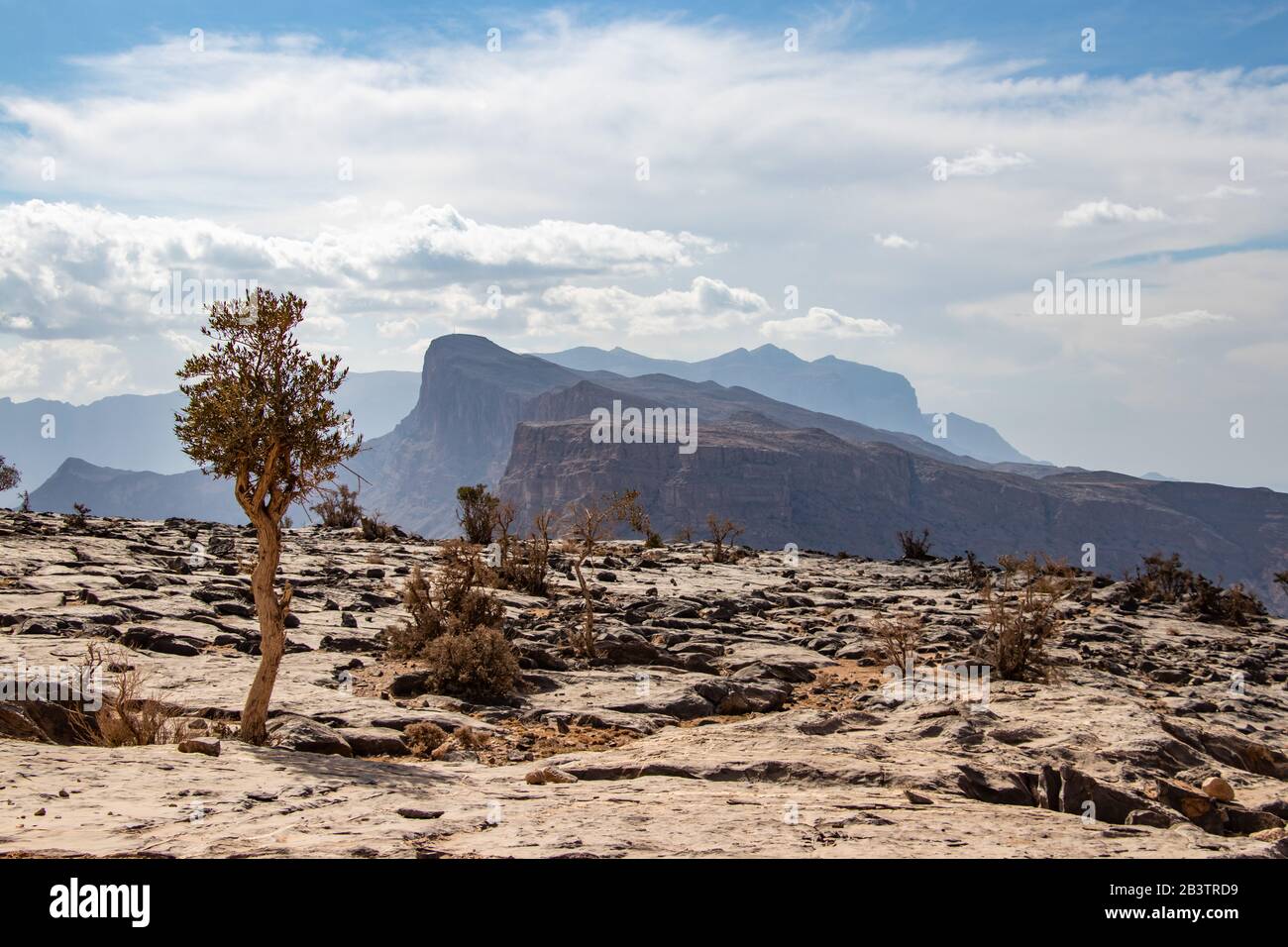 Point de vue sur le chemin de Jabal Shams près de Nizwa en Oman Banque D'Images