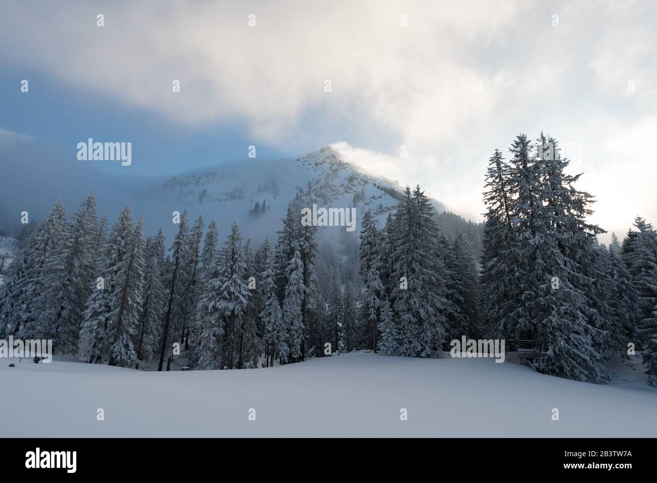 Fantastique circuit en raquettes sur la Hochgrat à Nagelfluhkette à Allgau, en Bavière Banque D'Images