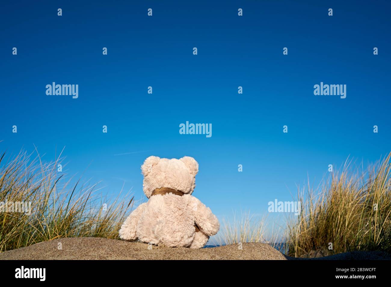 Triste ours en peluche avec un fanfare sur la plage de la mer Baltique près de Warnemünde en Allemagne Banque D'Images