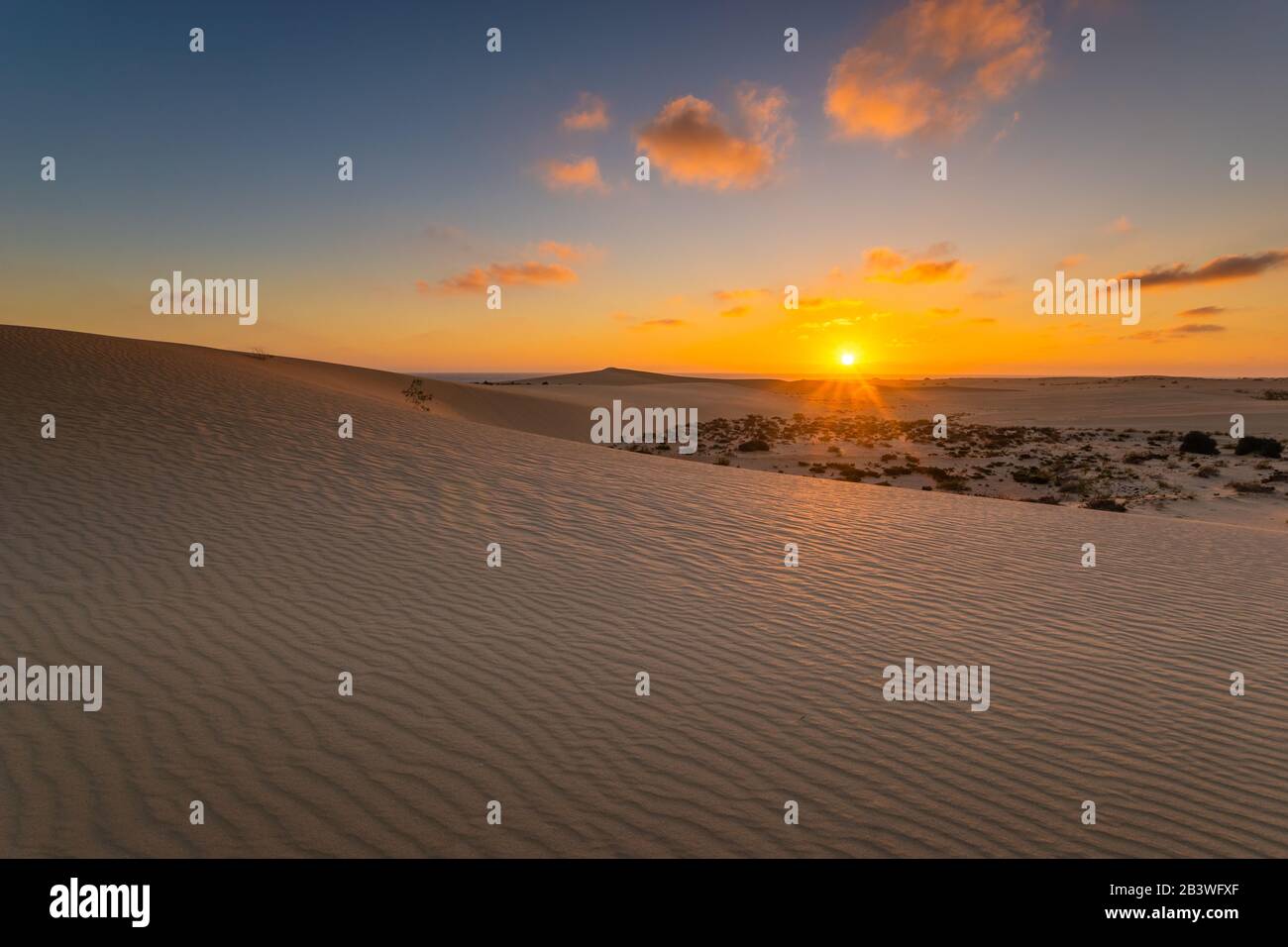Dunes de sable dans le parc national de Dunas de Corralejo pendant un beau lever de soleil - îles Canaries - Fuerteventura Banque D'Images