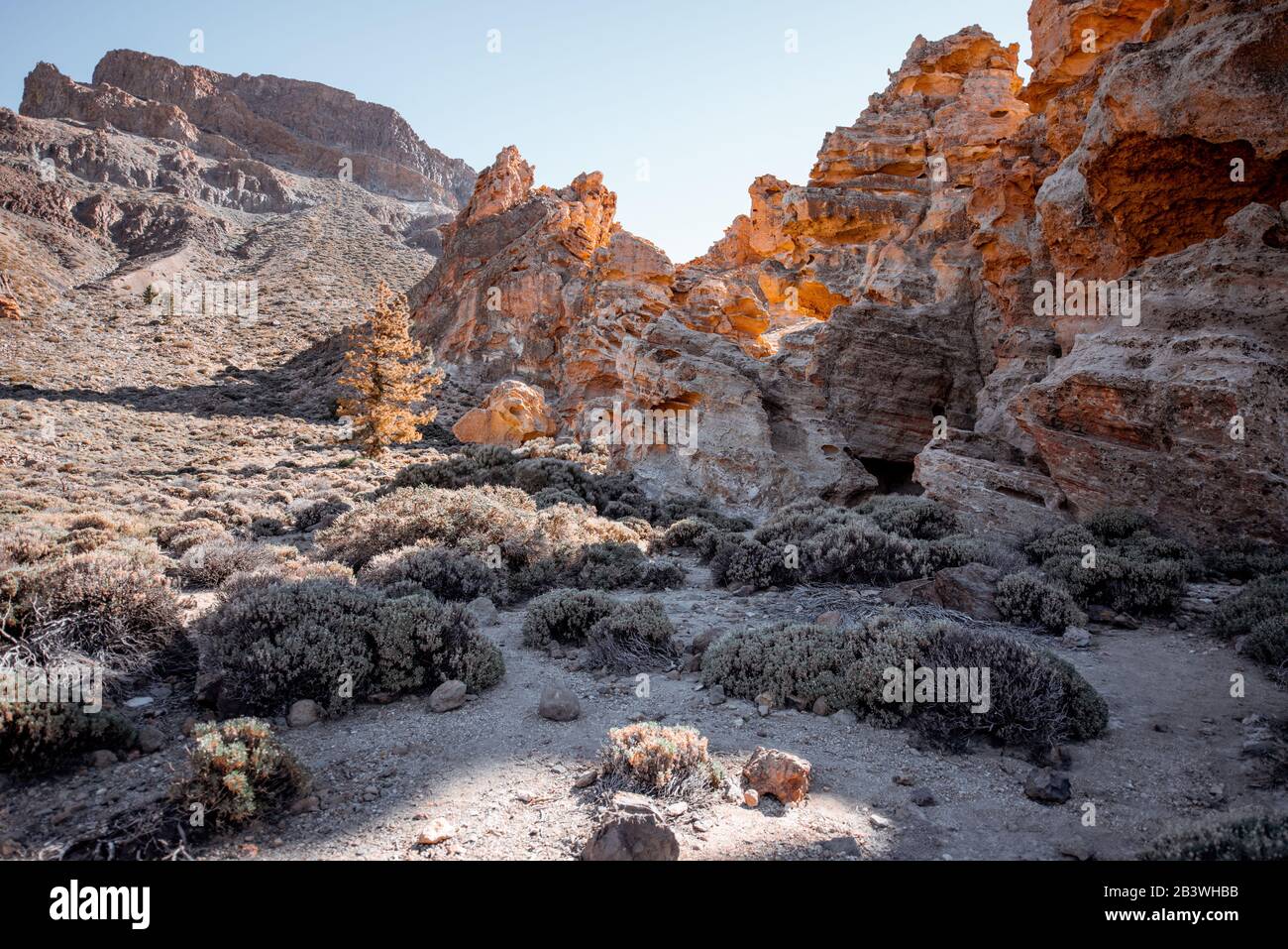 Belles roches d'origine volcanique sur la vallée du désert pendant une journée ensoleillée sur l'île de Tenerife, Espagne Banque D'Images
