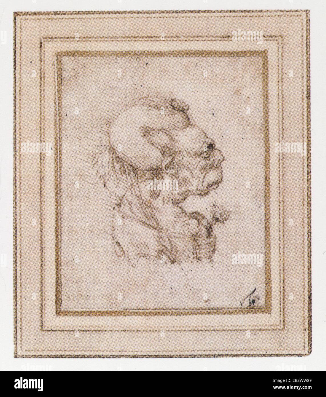Léonard de Vinci. Caricature d'une vieille femme avec un oeillet. 1495 Banque D'Images
