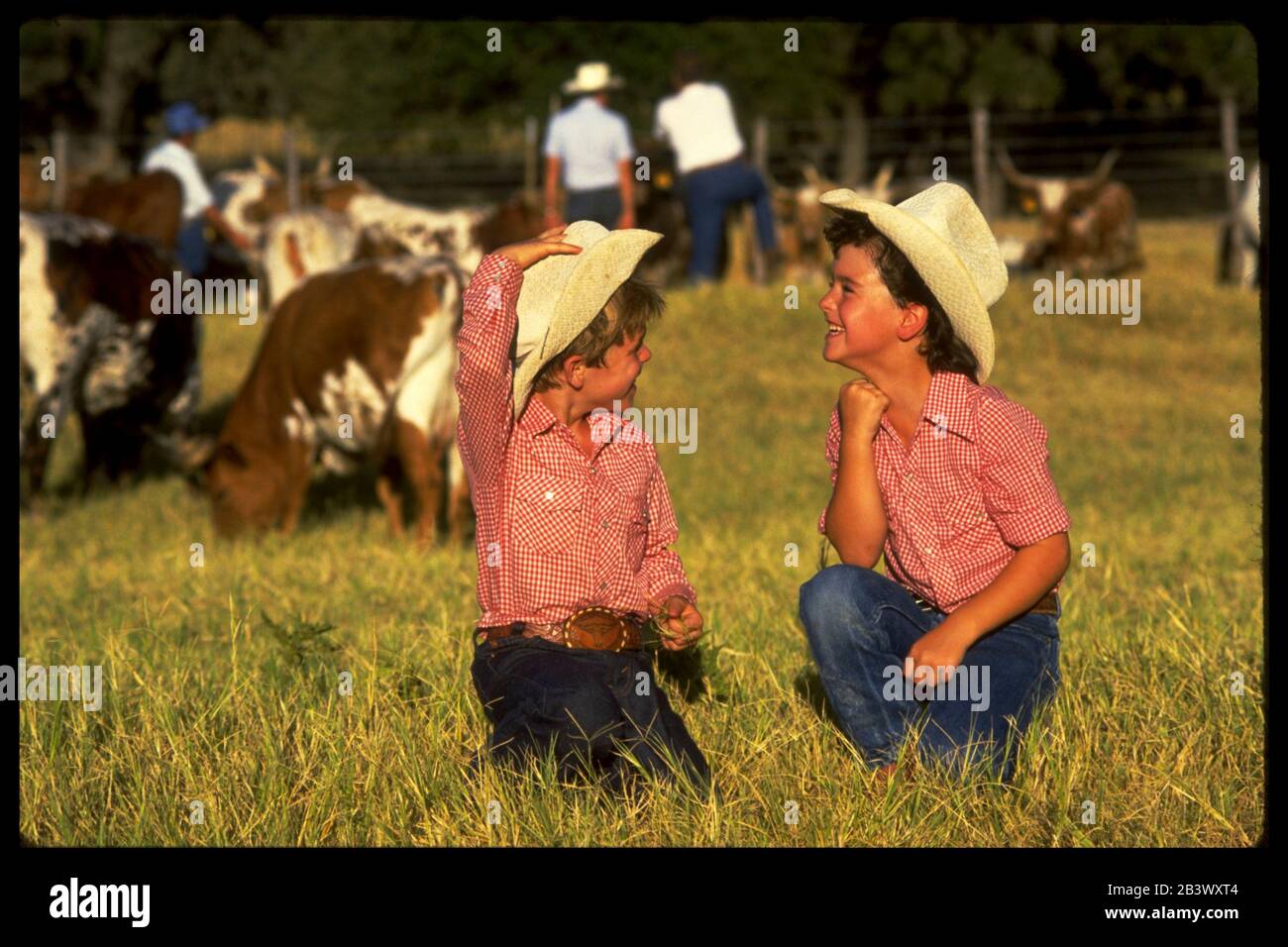 Fredericksburg Texas USA: Les jeunes garçons portant des chapeaux de cowboy et des jeans bleus s'agenouillent dans les pâturages du ranch de bétail de leur famille longhorn.©Bob Daemmrich Banque D'Images