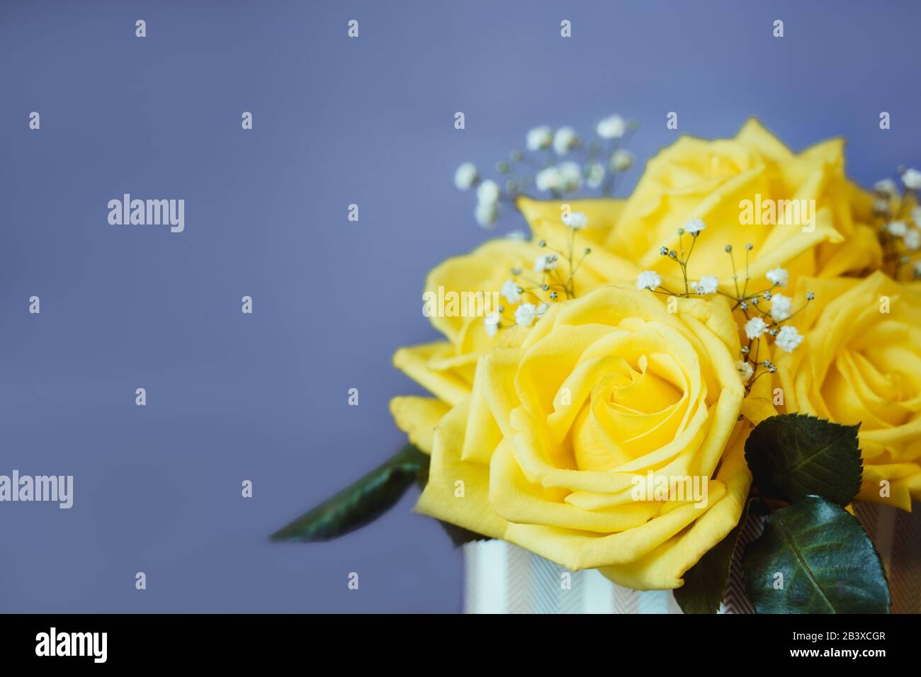 Floral Gif Banque D Image Et Photos Alamy Floral Gif Banque D Image Et Photos Alamy