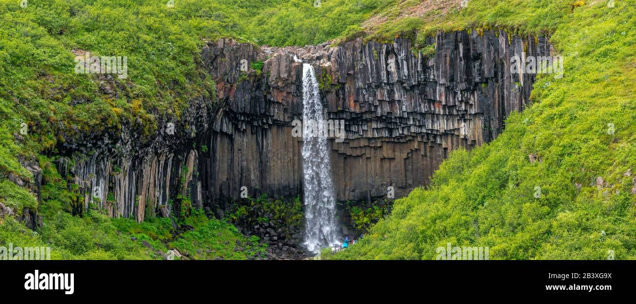 Belle et grande cascade Svartifoss avec colonnes de basalte noir sur le Sud de l'Islande, l'heure d'été Banque D'Images
