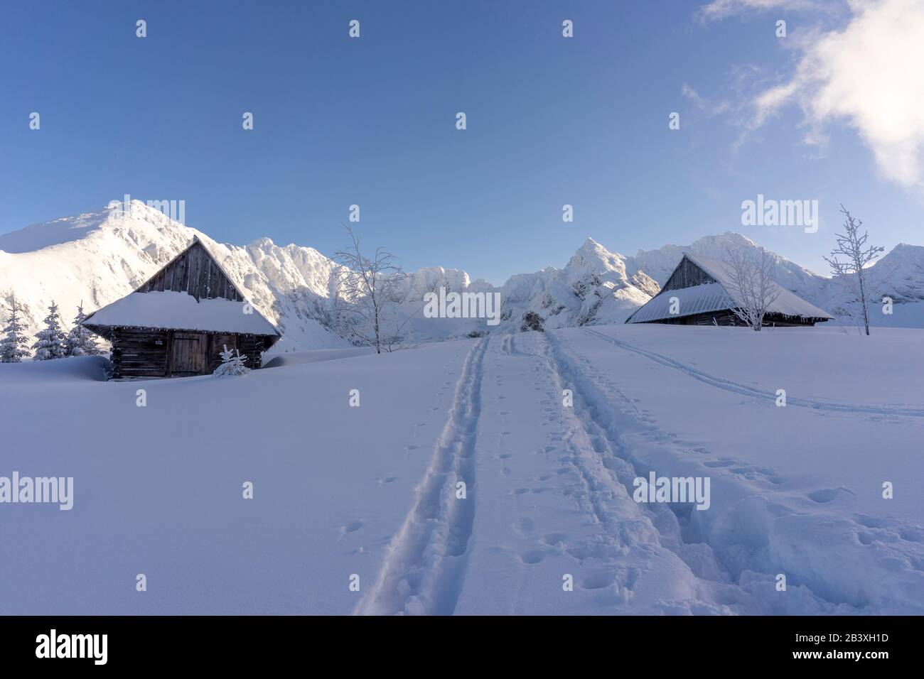 Après-midi d'hiver dans la vallée de Gasieniowa. Montagnes Tatra. Banque D'Images