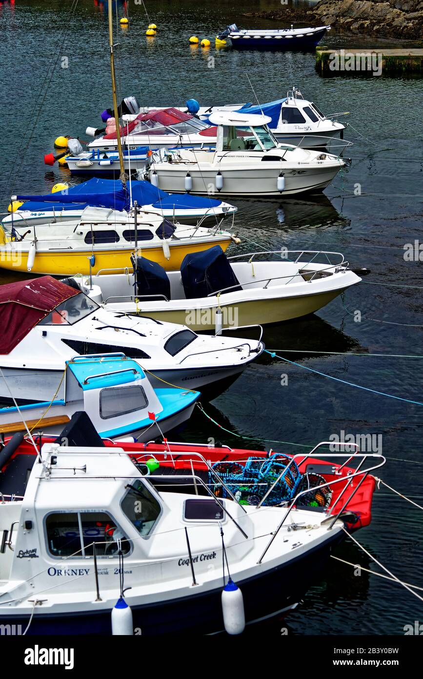 Mevagissey, dont le nom est Lannvorek à Cornish, est un village, un port de pêche et une paroisse civile à Cornwall, en Angleterre. Banque D'Images