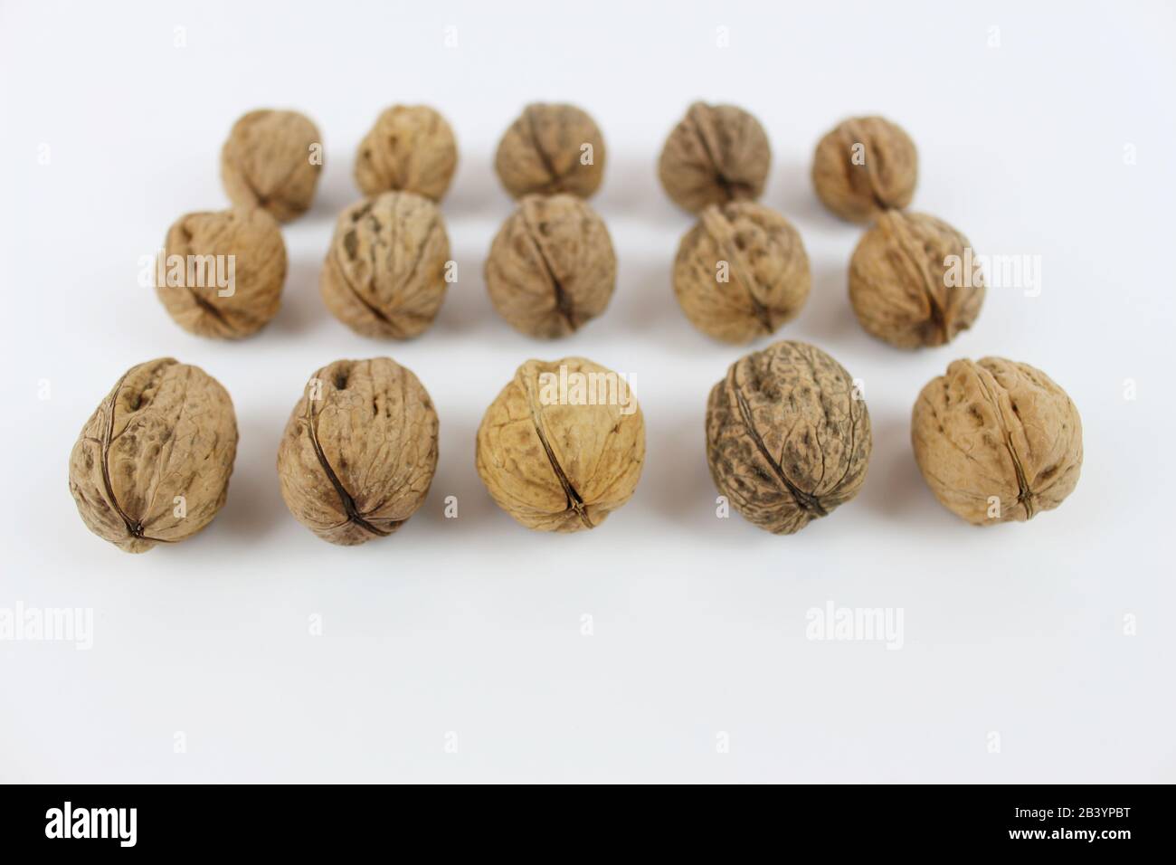 Groupe de noix, fruits secs, positionnés en lignes parallèles, avec encadrement frontal. Banque D'Images