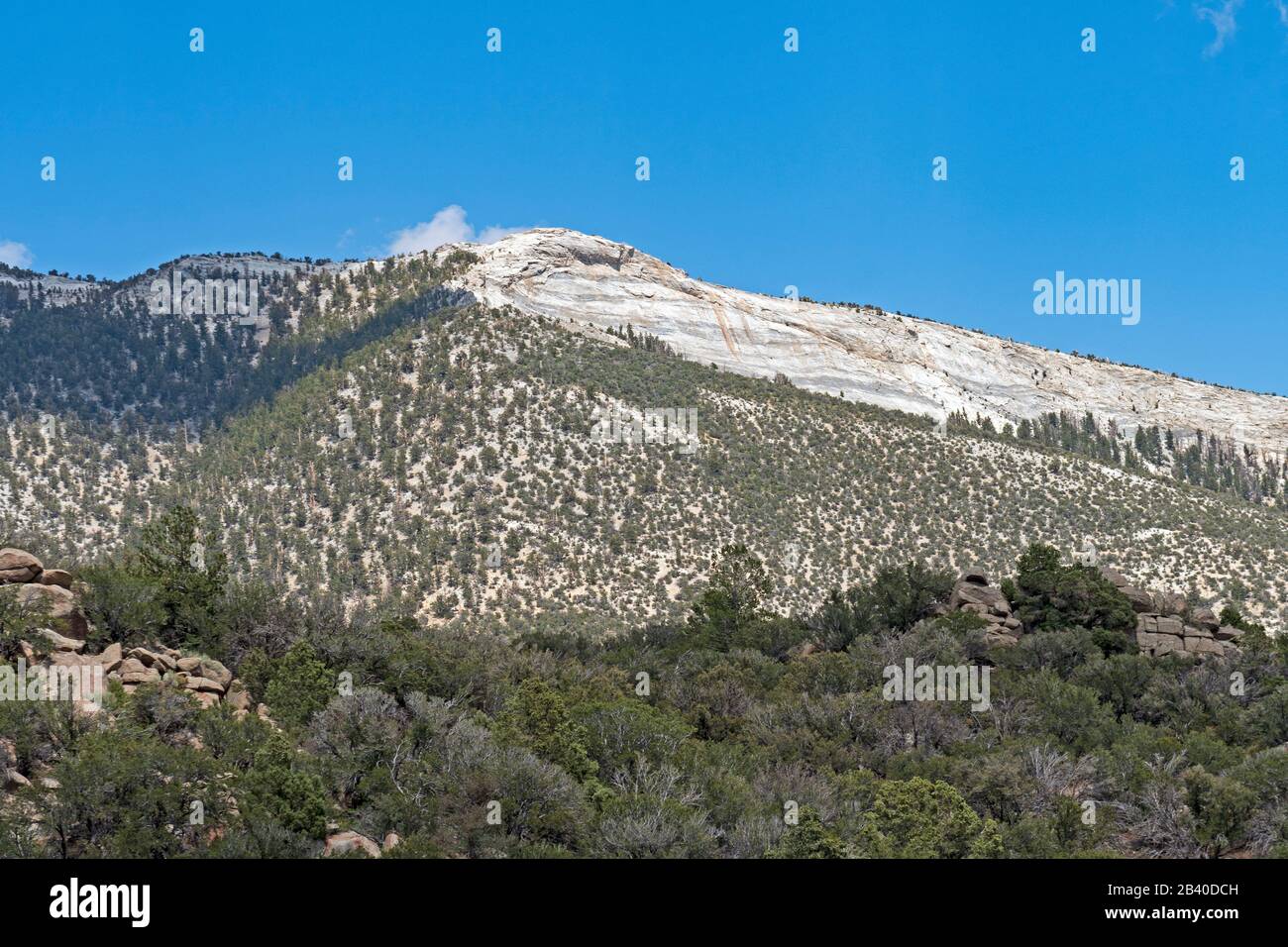 Des pics de granit S'Élèvent au-dessus du désert sur le sentier Serviceberry dans le parc national du Grand bassin, dans le Nevada Banque D'Images